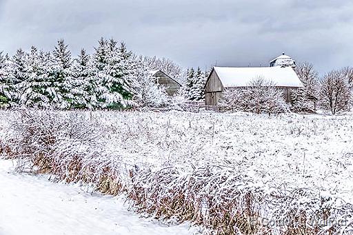 Spring Wonderland_P1040353-5.jpg - Photographed near Smiths Falls, Ontario, Canada.